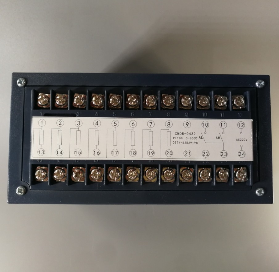 余姚振兴热工仪表XMDB～0432 PT100 220V 0～300c 智能巡检报警仪 - 图2