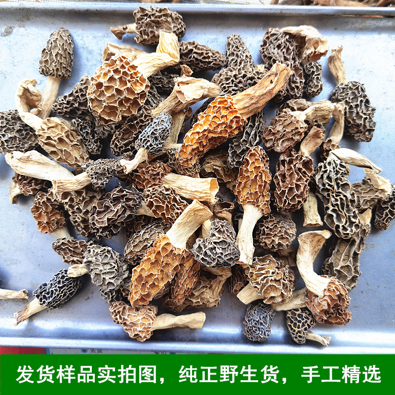 农家深山自采天然羊肚菌干货野生500g新鲜特级羊肚菜蘑菇煲汤食材-图1