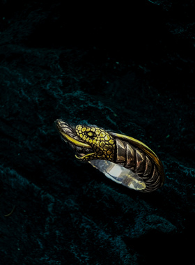 帝骁原创手工个性潮流蛇戒指做旧