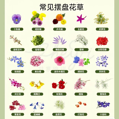 新鲜摆盘装饰花草 可食用三色堇迷迭香薄荷叶芽头千叶吊兰食用花 - 图1