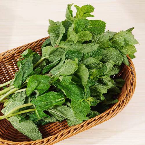 新鲜薄荷叶 留兰香薄荷 酒吧莫吉托调酒食用新鲜香料 泡水烘焙用 - 图3