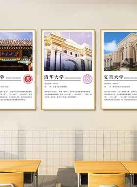 中国大学简介挂图海报大学励志名校介绍挂画学校教室布置装饰墙贴
