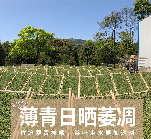 福鼎白茶2021新茶春茶【清】明前荒野散装花香白牡丹 正宗高山茶 - 图1