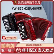 Parrot card YW672 Bayan accordion 2 Leaf Springs 62 Keys 60 Bose Adult coloperors Professional playing instruments