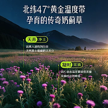 斯维诗Swisse奶蓟草护肝片120[43元优惠券]-寻折猪