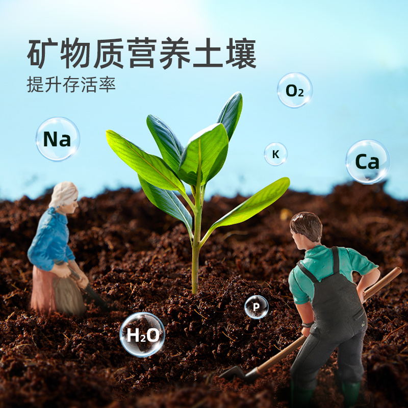 【自营】弥鹿阳光房种植儿童盲盒科学小实验植物生长观察盒玩具 - 图2