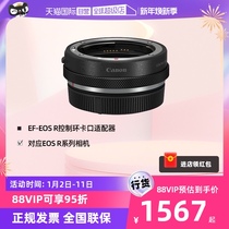 (self-employed) Canon EF-EOS R control ring bayonet adapter R micro-single-phase machine EOS R RP R5 R6 fuselage