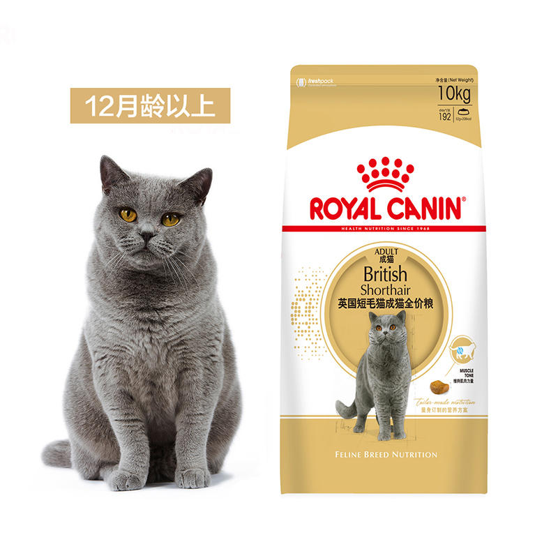 【自营】法国皇家英国短毛猫成猫粮10kg BS34进口干粮宠物品种粮 - 图1