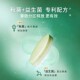 ເມັດ Baicaoyuan Qingqing ປະຕິເສດຢາລະບາຍແລະບັນເທົາອາການທ້ອງຜູກ