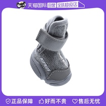 (self-employed) RIFRUF Classic pet pooch sneakers Caesar1 comfortable and abrasion resistant US imports 4 only