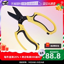 (Self-Employed) History Tension Sellery Horticulture Floral Cut Flower Arrangement Picking Fruit Cut Flower Branches Flower Shop Scissors Branches Cut