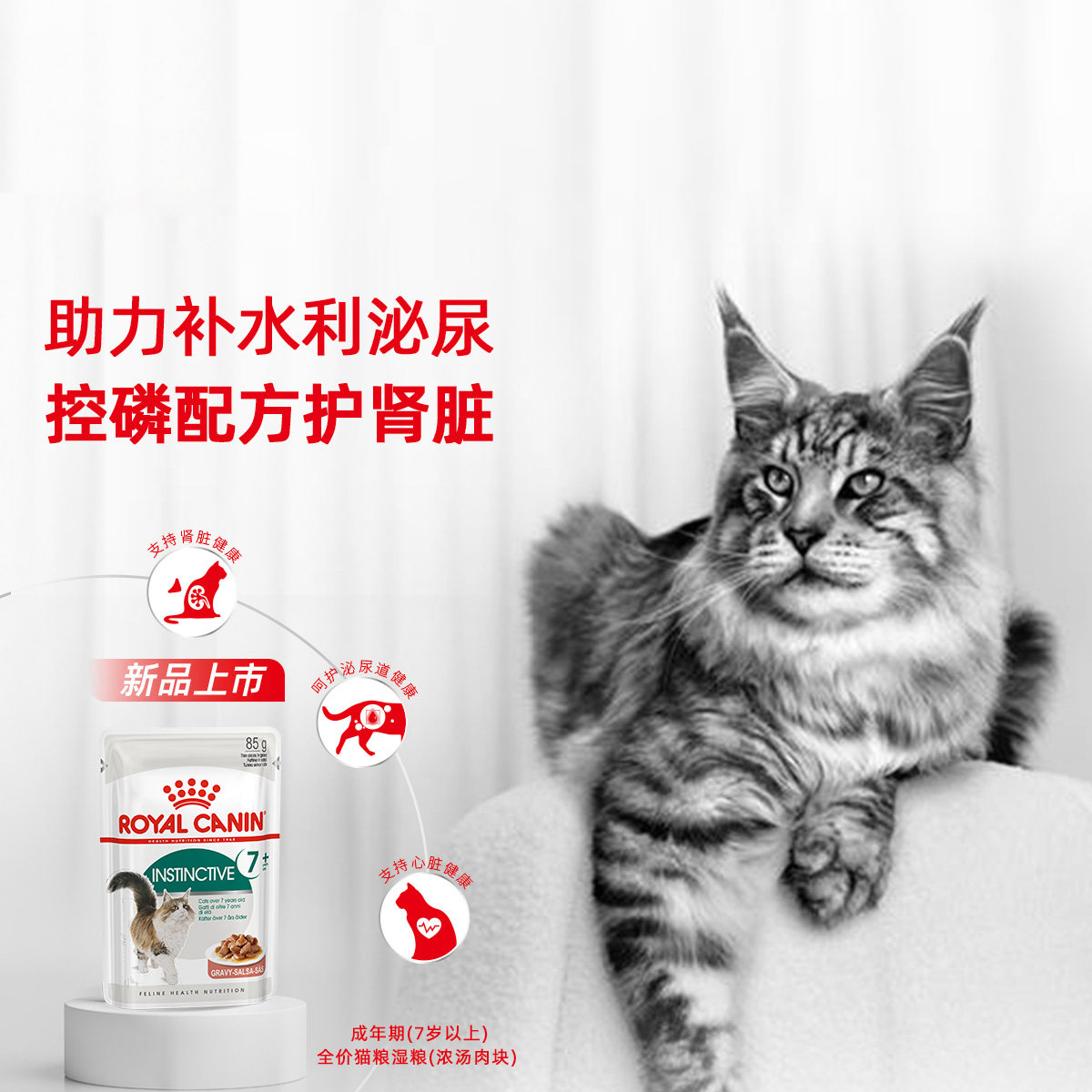 【自营】【付邮试吃】皇家猫湿粮包慕斯浓汤成幼全价湿粮85gx2包,淘宝优惠券,粉丝福利购,淘宝优惠卷