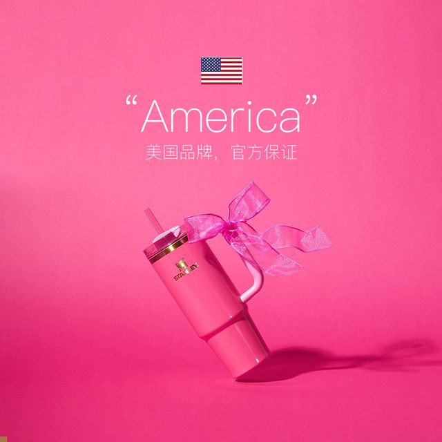 STANLEY overseas original stainless steel straw cup