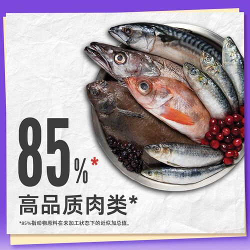 【自营】Orijen|渴望六种鱼成幼猫无谷猫粮5.4kg【临期26年10月】 - 图0