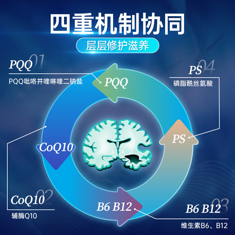 【自营】ESTHELIV研生之力Pro深蓝中老年PQQ脑科学辅酶Q10成人-图1