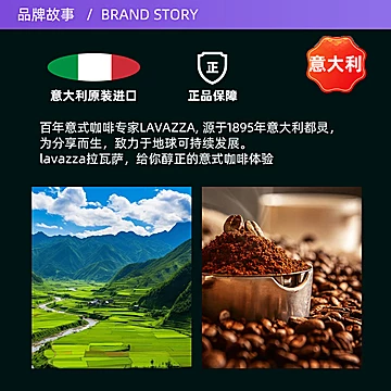 意式浓缩意大利进口咖啡豆拉瓦萨[5元优惠券]-寻折猪