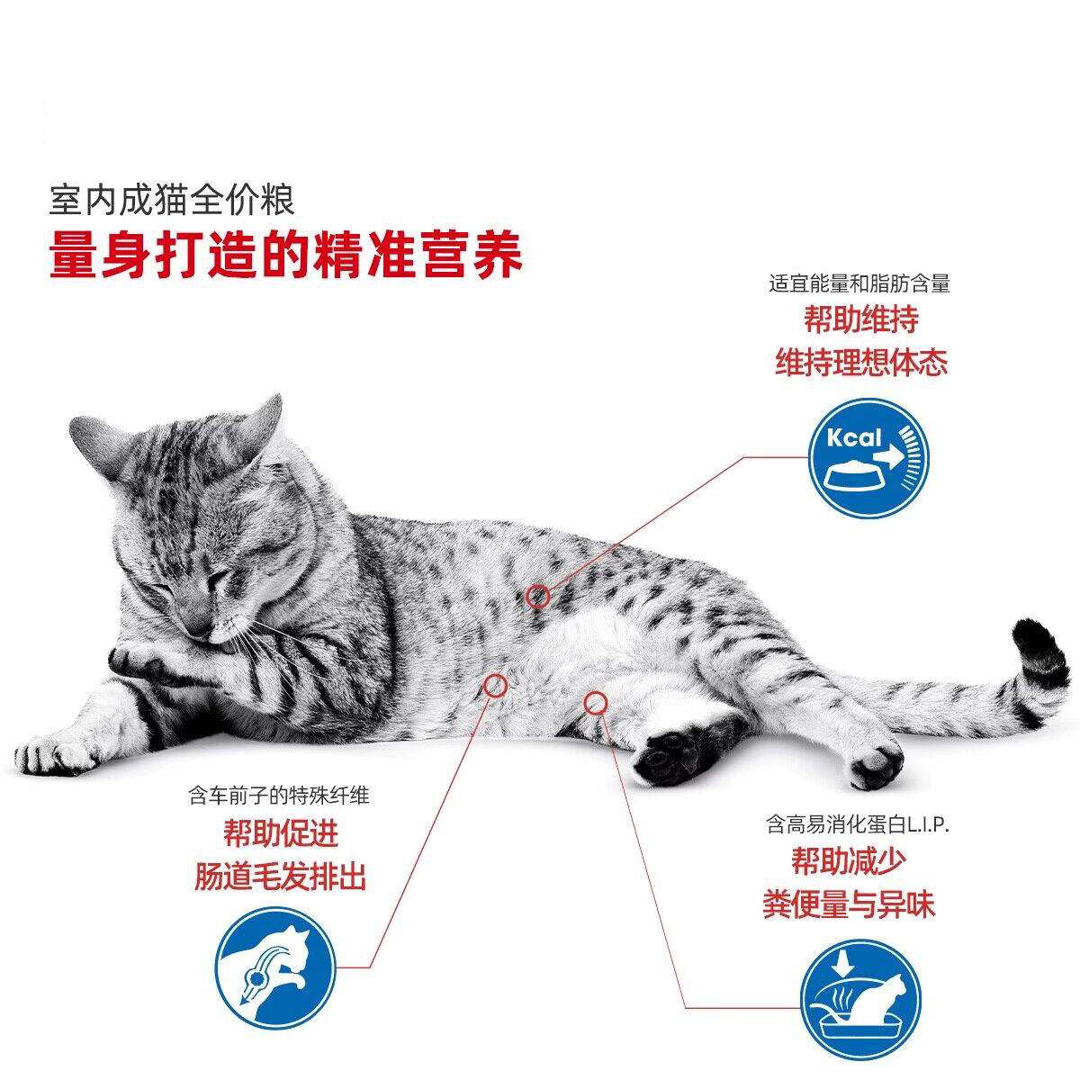 【自营】皇家全价猫粮I27室内成猫2kg营养发腮猫主粮颗粒宠物公斤 - 图3