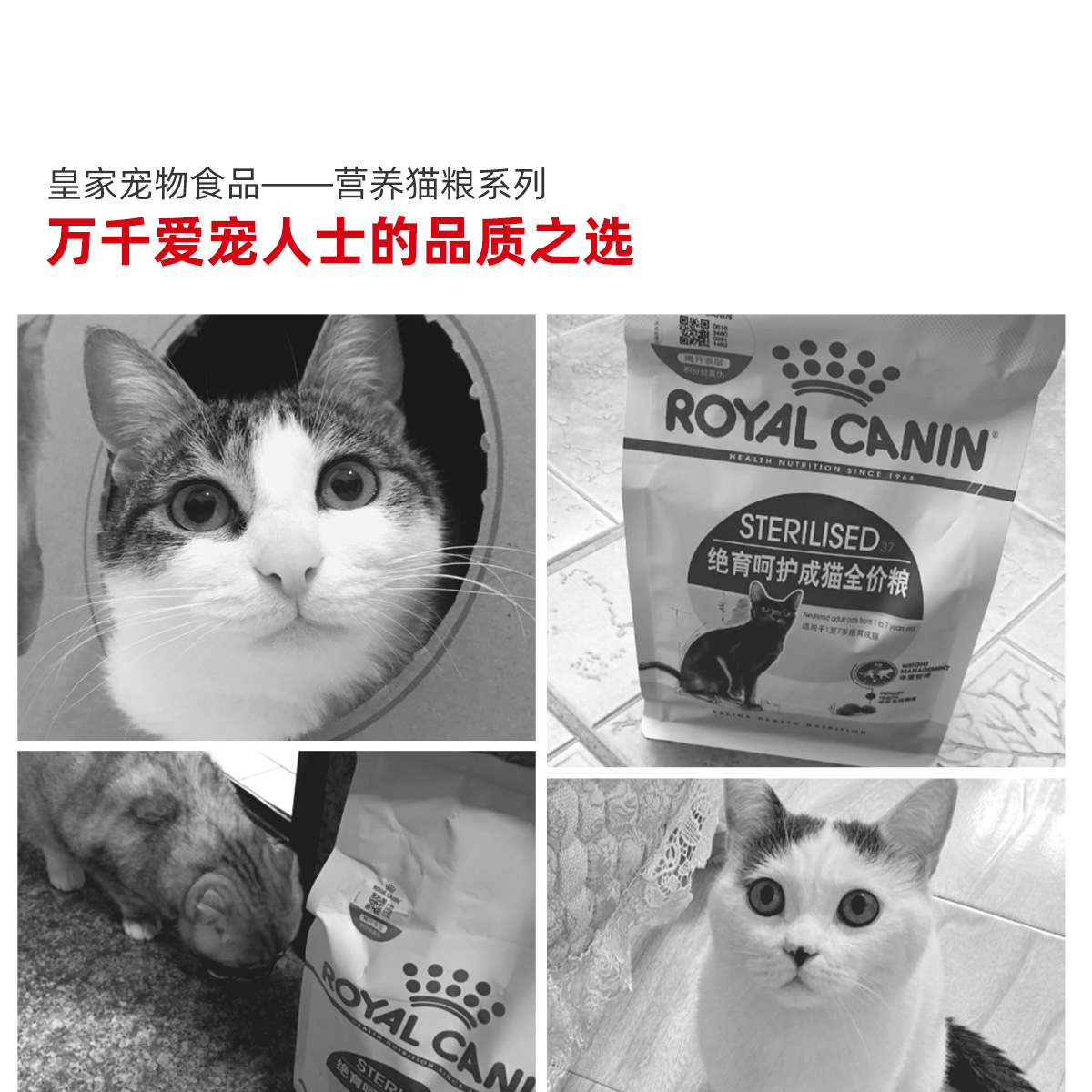 【自营】皇家全价猫粮SA37绝育专用尿道猫咪主粮处方宠物 - 图3