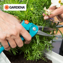 Germanys Gardiner takes GARDENA import comfort and labor-saving domestic floral branch cut gardening floral floral cut