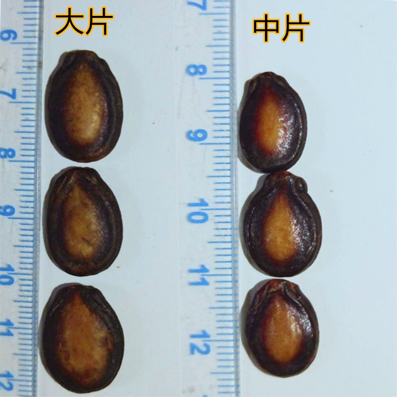 新货沙土牌西瓜子五香甘草话梅味5斤大片休闲喜婚事炒货干果零食 - 图1