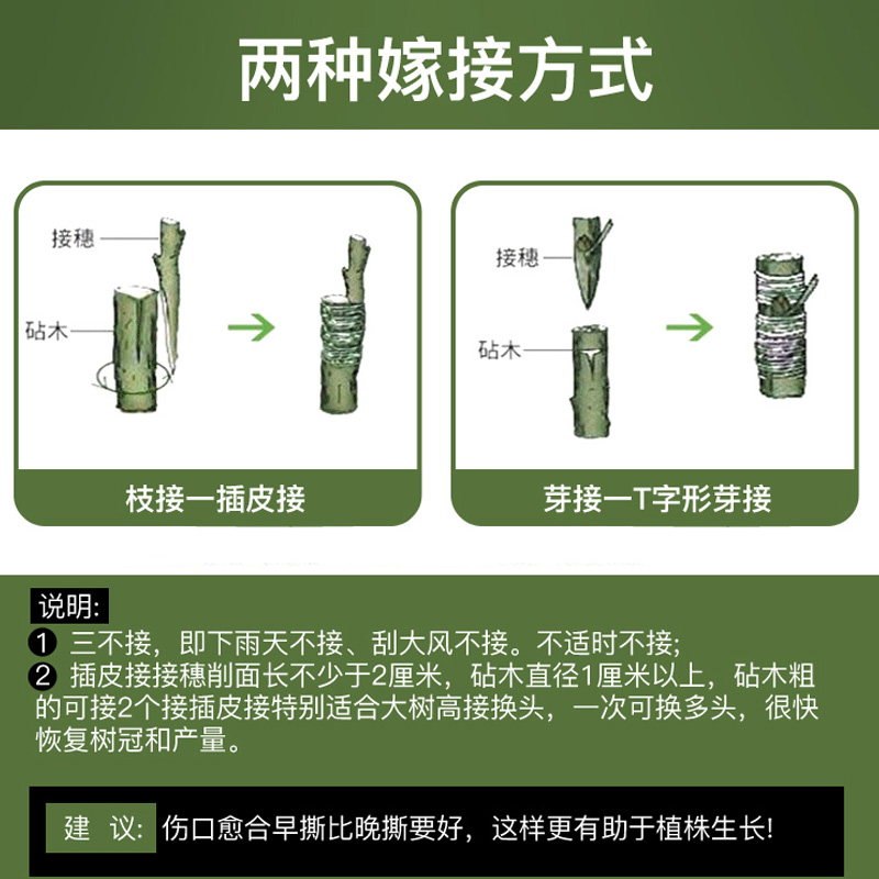 嫁接膜缠绕膜果树专用嫁接塑料薄膜自粘防水高弹性免拆树苗嫁接膜 - 图2