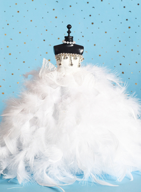 创意表白神器成年礼婚纱模型