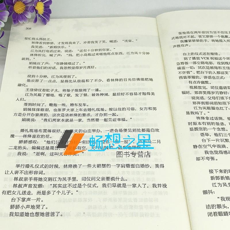 等风降临小说 周晚欲 高人气校园暗恋文青春文学校园言情小说书籍正版 畅销书籍排行榜 温柔少女林绛VS恣意少年江为风畅想之星图书 - 图3