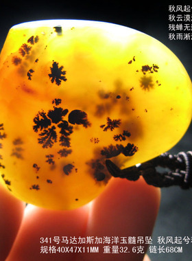 海洋玉髓水草玛瑙奇石毛衣链吊坠