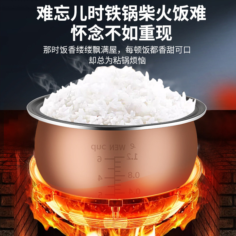 半球智能电饭煲家用多功能小型3迷你电饭锅1一2人预约4蒸煮一体5L,淘宝优惠券,粉丝福利购,淘宝优惠卷