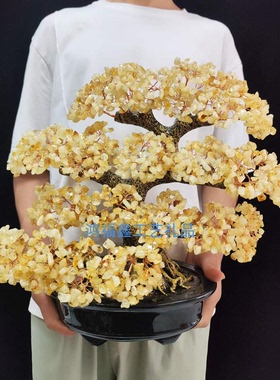 天然黄紫粉水晶发财树摆件碎石紫晶簇原石树家居装饰工艺品摆件