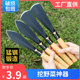 Crowded cauliflower shovel digging wild vegetable manganese steel outdoor digging artifact tools Garden arts and home planting for home planting