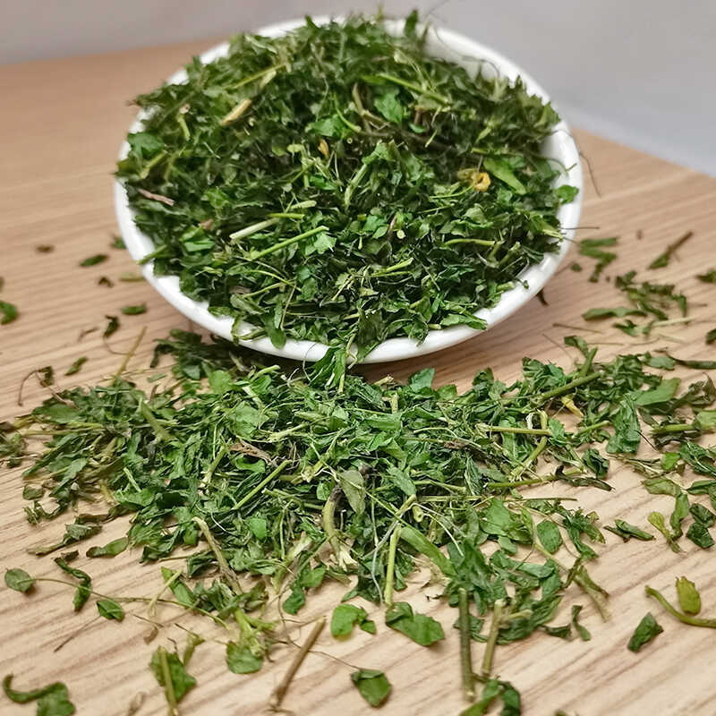 草本善潮汕油甘叶茶回甘茶相思叶鸡骨草叶润喉回甘可口可配各种茶 - 图1