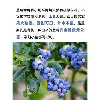 ປຸ໋ຍພິເສດ Blueberry potted blueberry tree fruit see seed granular fertilizer acidity improves yellow leaf and leaf fall, promote growth and slow-release fertilizer