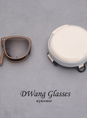 墨镜偏光大框旅行太阳镜超轻折