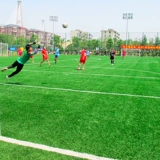 Искусственное коттедж -моделирование газон ковер искусственный пластиковый фальшивая трава кожаная настенная крышка поверхности декоративное детское сады зеленая подушка