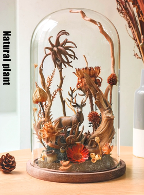 文艺复古现代真植物木底座玻璃罩