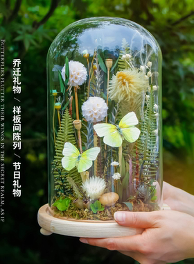 蝴蝶标本家居摆件实木手工制作