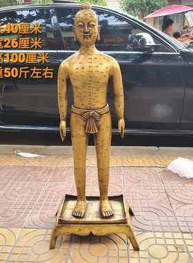 纯铜穴位人针灸人体男女模型铜人