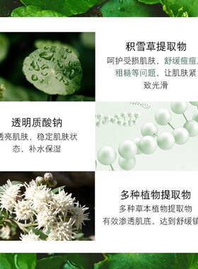 芙诗婷积雪草泛醇睡眠面膜补水保湿正品冻膜烟酰胺抗皱泥膜批发