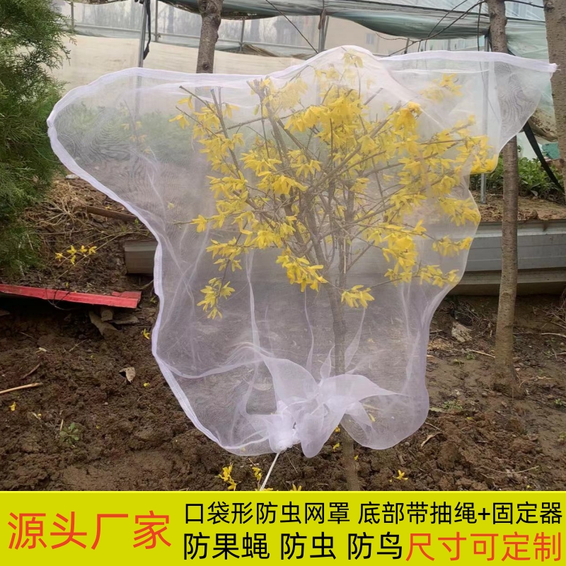 果树防虫网罩网袋莲雾樱桃蓝莓杨梅蔬菜花卉绿植防鸟防虫网抗老化 - 图0