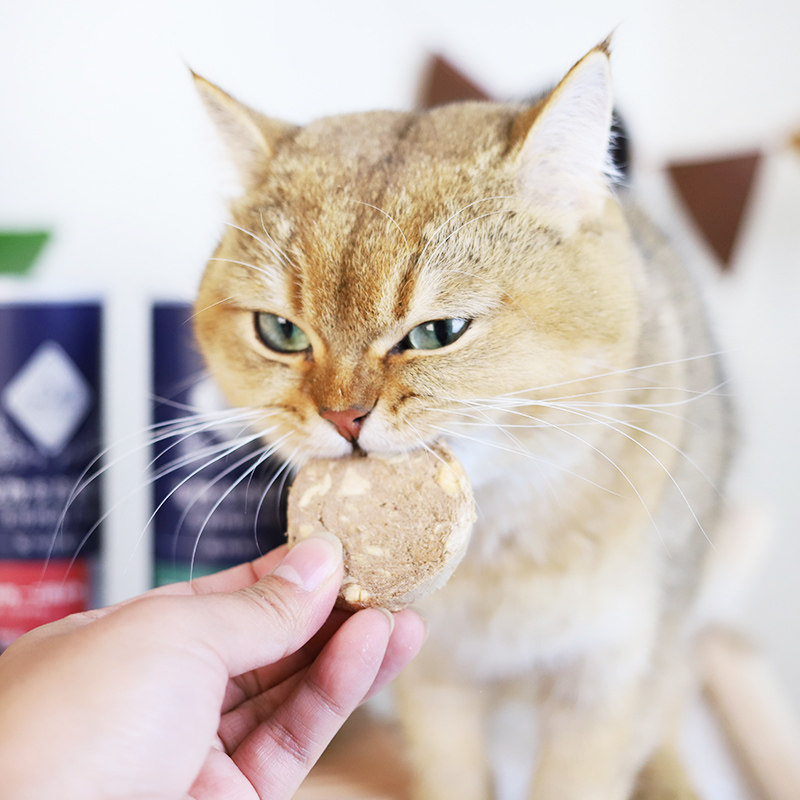 路斯猫咪零食冻干生骨肉饼成幼猫鹿肉主食冻干高含肉量营养拌粮,淘宝优惠券,粉丝福利购,淘宝优惠卷