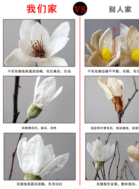 巢居意式轻奢干花陶瓷花瓶玄关柜