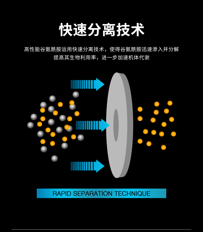 Muscletech肌肉科技高性能谷氨酰胺粉运动健身提升促进恢复蛋白粉 - 图1