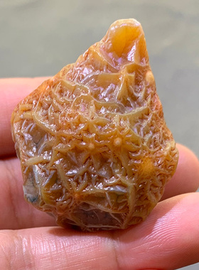 天然外蒙戈壁石 阿拉善玛瑙原石 精品筋脉 花脉 筋脉花 奇石 经脉