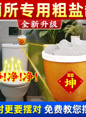 粗盐净宅大颗粒天然海盐原盐消磁净化厕所西北搬家结婚陶瓷缸摆件