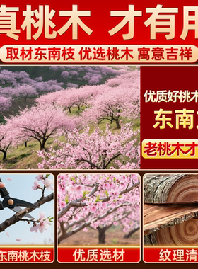 七根桃木枝招东南枝桃花绑五色线七厘米真桃木五彩绳手工编织挂件