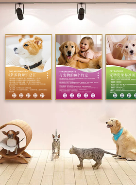 宠物店墙面装饰画动物医院护理科普挂画猫狗诊所墙壁画海报贴纸