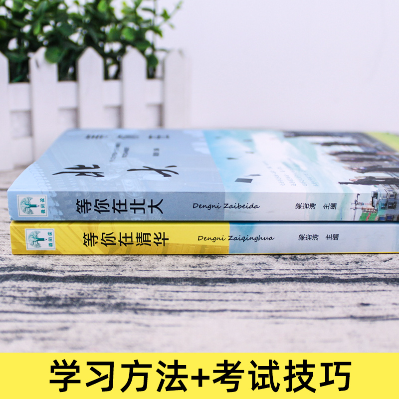 正版全2册正版等你在清华北大 北大清华学霸日记考入清华的学子高效学习方法窍门综合考试技巧 中小学生父母阅读教育孩子励志书籍 - 图1