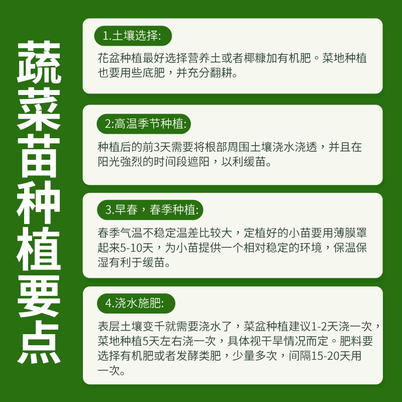 辣椒种苗朝天椒小米椒长线椒灯笼椒甜椒五彩椒螺丝椒薄皮椒秧苗 - 图2