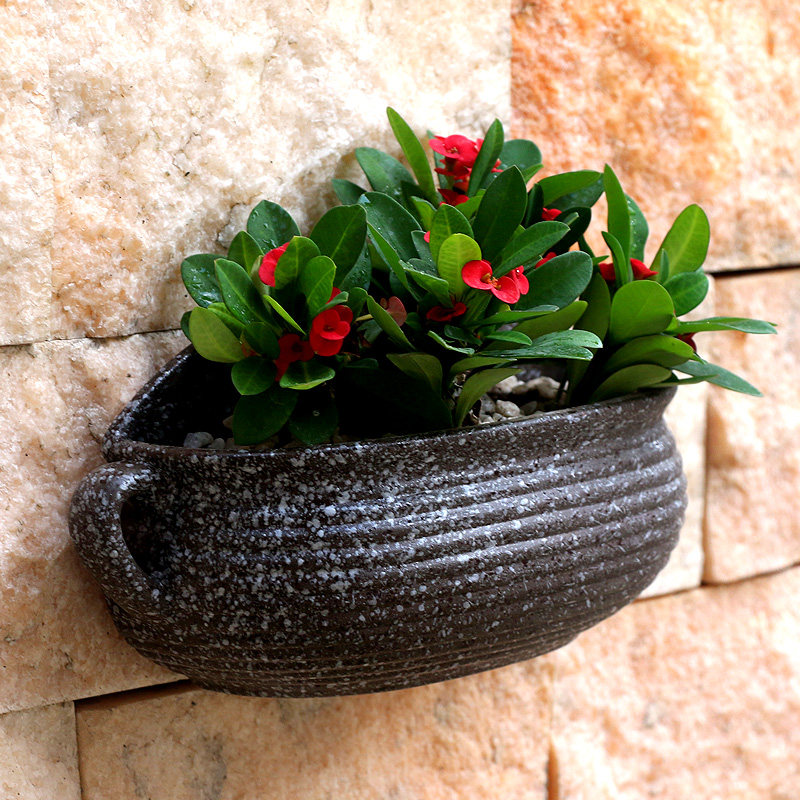 壁挂墙上陶瓷花盆阳台客厅墙上装饰品垂吊绿萝铜钱草悬式多肉水培,淘宝优惠券,粉丝福利购,淘宝优惠卷